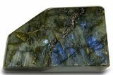 Flashy Free-Standing Polished Labradorite - Madagascar #372717-1